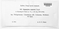 Image Associated With the Occurence